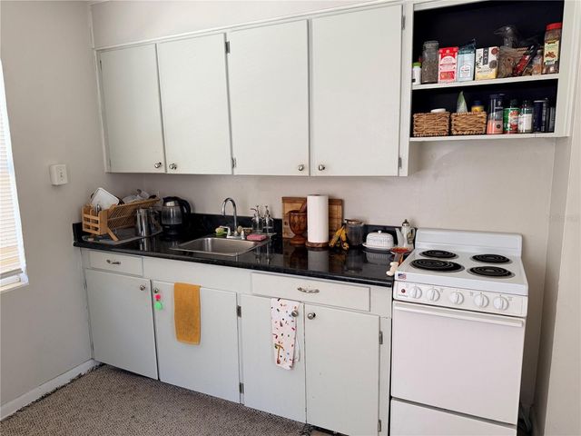 1004 PALMER STREET, Orlando, FL 32801