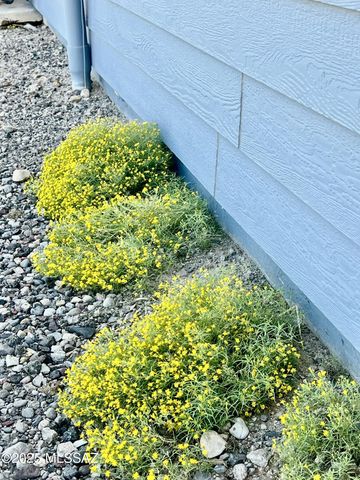 275 W 275 N, Pima, AZ 85543