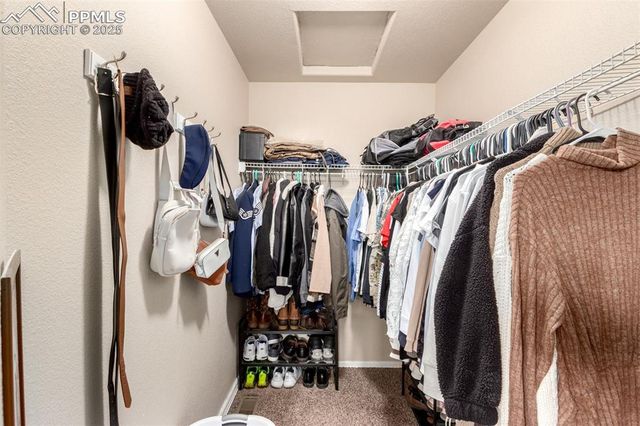 616 Hailey Glenn View, Colorado Springs, CO 80916