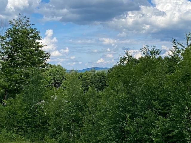 132 Newell Road, Newbury, NH 03255