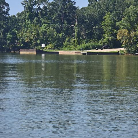 72 Edgewater Way, Point Blank, TX 77364