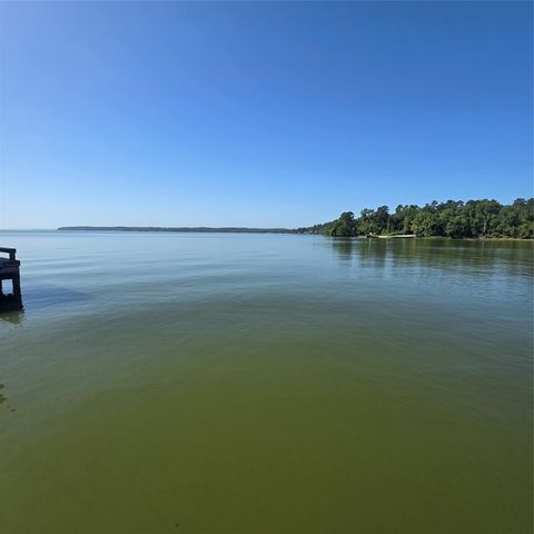 72 Edgewater Way, Point Blank, TX 77364