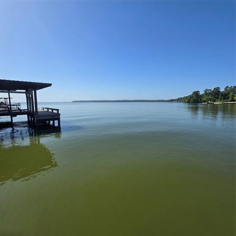72 Edgewater Way, Point Blank, TX 77364