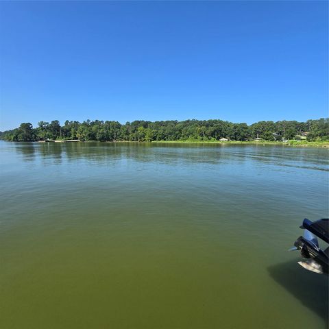 72 Edgewater Way, Point Blank, TX 77364