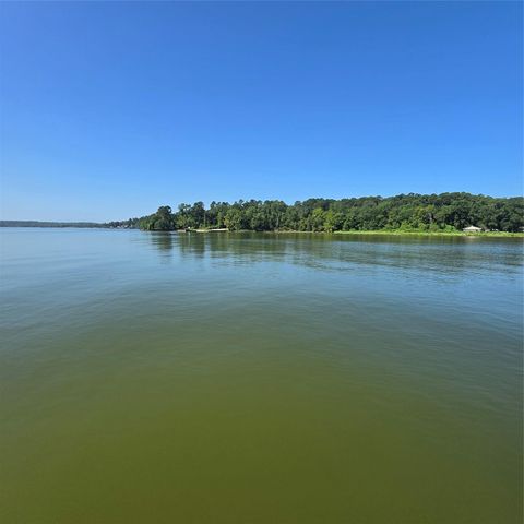 72 Edgewater Way, Point Blank, TX 77364