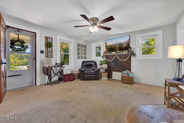 313 Richards Lane, Bluff City, TN 37618