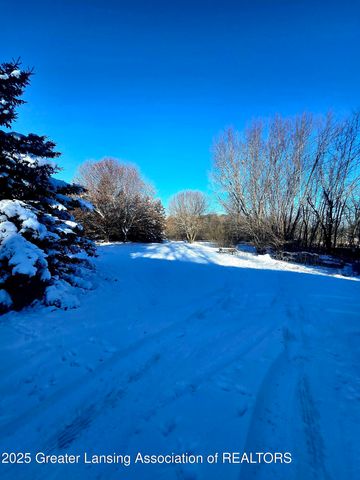 1423 W Hyde Road, St. Johns, MI 48879