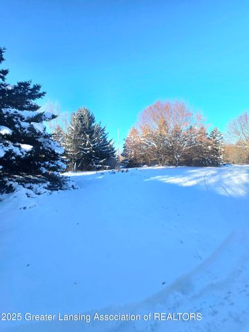 1423 W Hyde Road, St. Johns, MI 48879