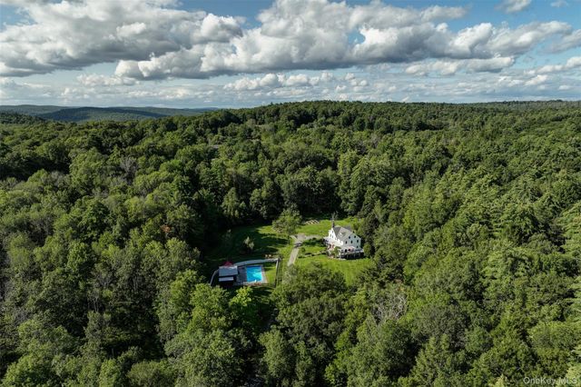 39 Deep Hollow Hill Road, Narrowsburg, NY 12764