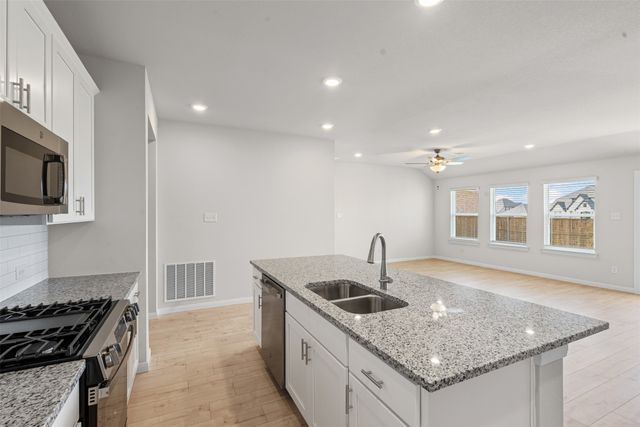 1413 Water Canna Drive, Justin, TX 76247