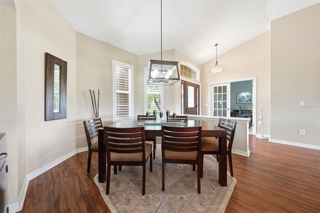 7029 PINE HOLLOW DRIVE, Mount Dora, FL 32757