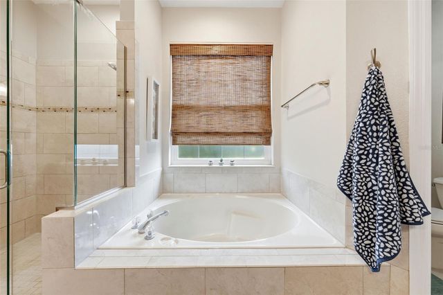 7029 PINE HOLLOW DRIVE, Mount Dora, FL 32757