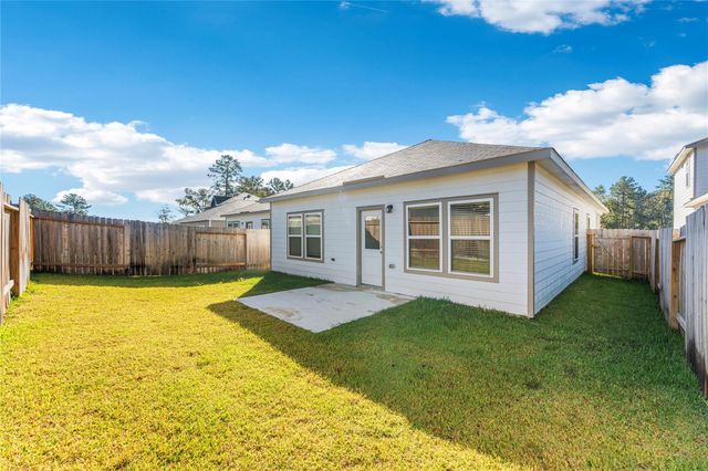 16215 Globetrotter Court, Porter, TX 77365