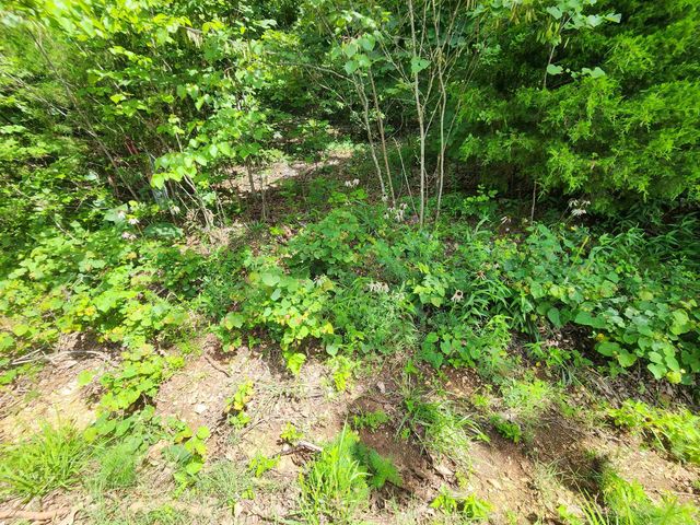 L37B12 N lakeshore Circle, Cherokee Village, AR 72529