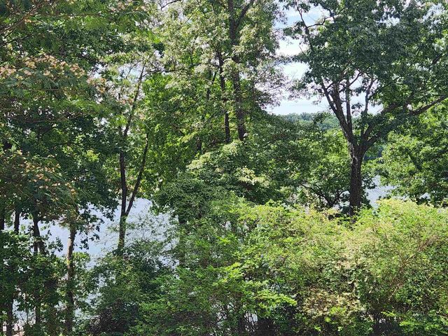L37B12 N lakeshore Circle, Cherokee Village, AR 72529