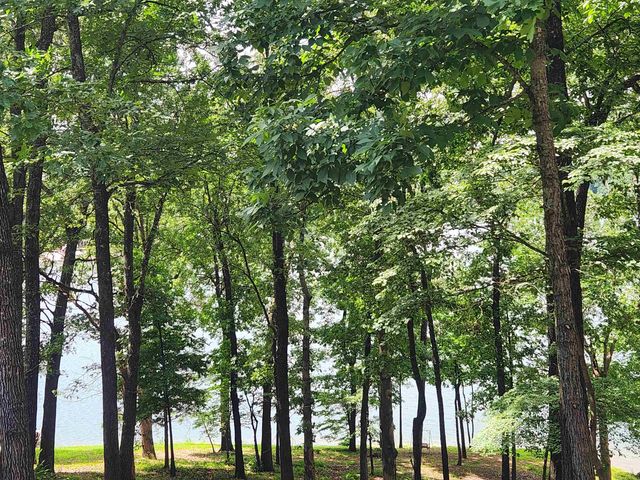 L37B12 N lakeshore Circle, Cherokee Village, AR 72529