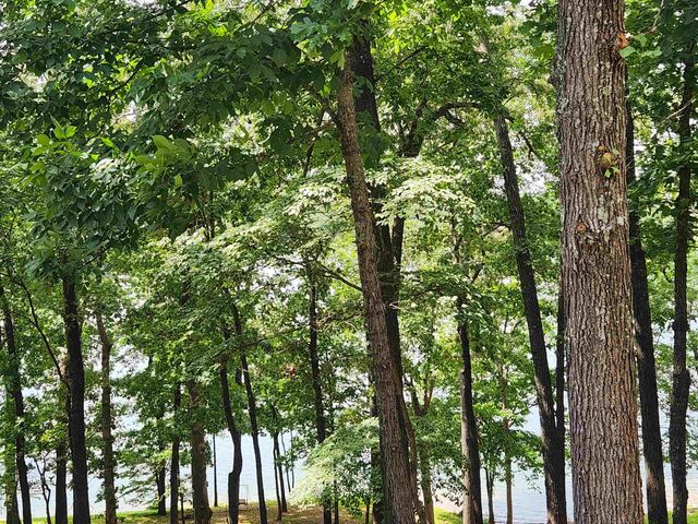 L37B12 N lakeshore Circle, Cherokee Village, AR 72529