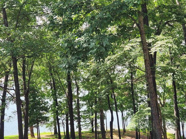 L37B12 N lakeshore Circle, Cherokee Village, AR 72529