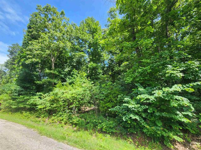 L37B12 N lakeshore Circle, Cherokee Village, AR 72529
