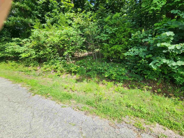 L37B12 N lakeshore Circle, Cherokee Village, AR 72529