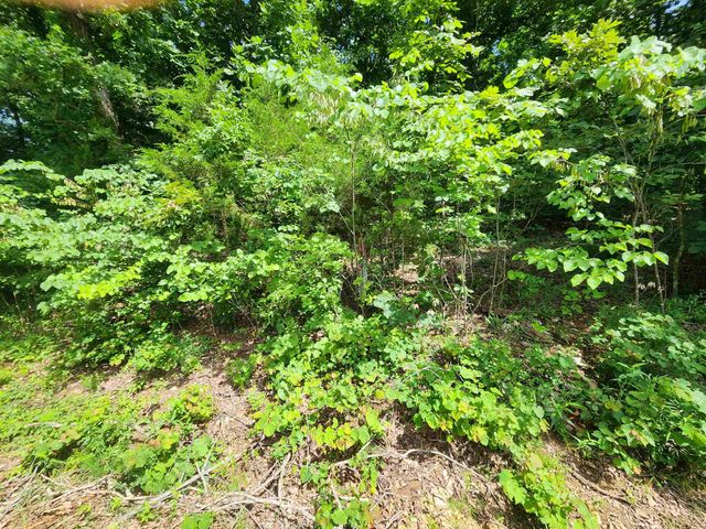 L37B12 N lakeshore Circle, Cherokee Village, AR 72529