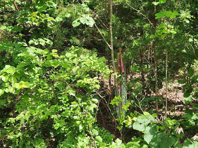 L37B12 N lakeshore Circle, Cherokee Village, AR 72529