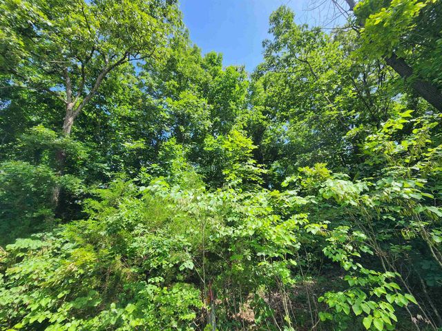 L37B12 N lakeshore Circle, Cherokee Village, AR 72529