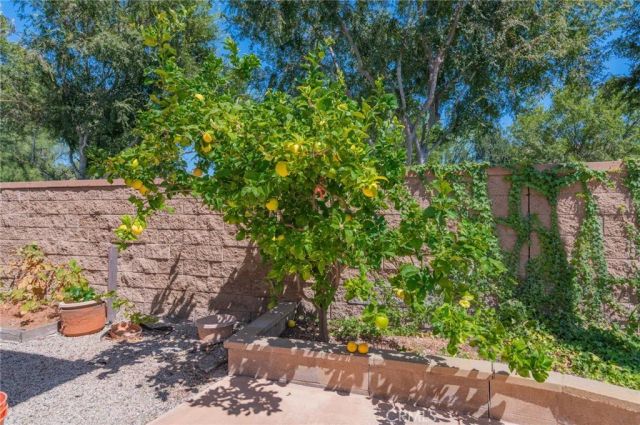 36 Trailing Ivy, Irvine, CA 92620