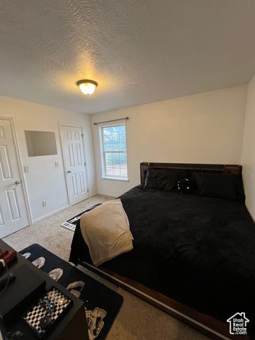 207 S STONEGATE DR, Roosevelt, UT 84066