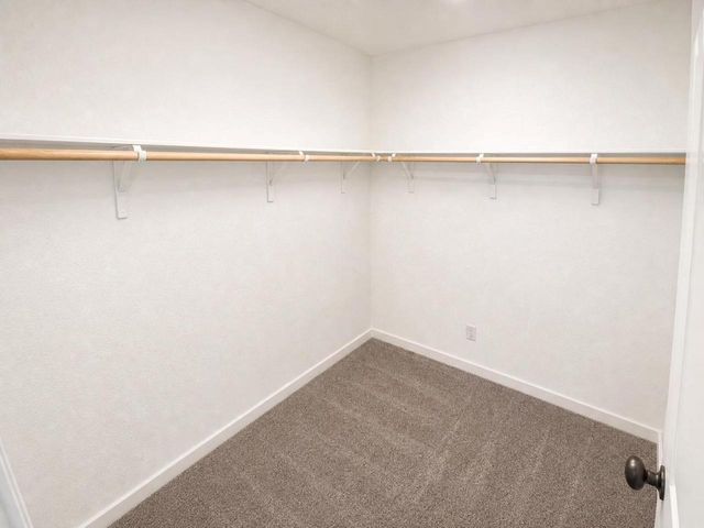 17909 Orchard Oriel WAY, Pflugerville, TX 78660