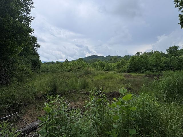 00 Green Acorn Lane, Murphy, NC 28906