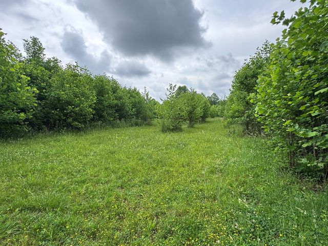 00 Green Acorn Lane, Murphy, NC 28906