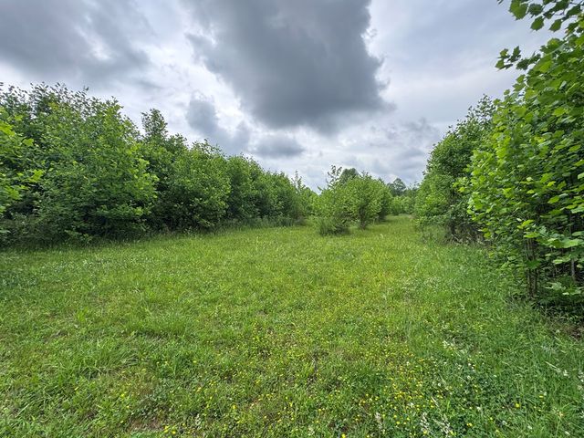 00 Green Acorn Lane, Murphy, NC 28906