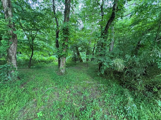 00 Green Acorn Lane, Murphy, NC 28906