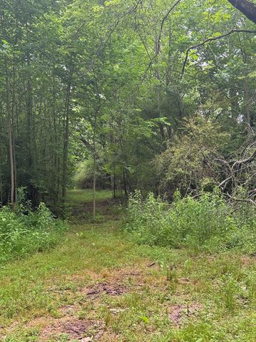 00 Green Acorn Lane, Murphy, NC 28906