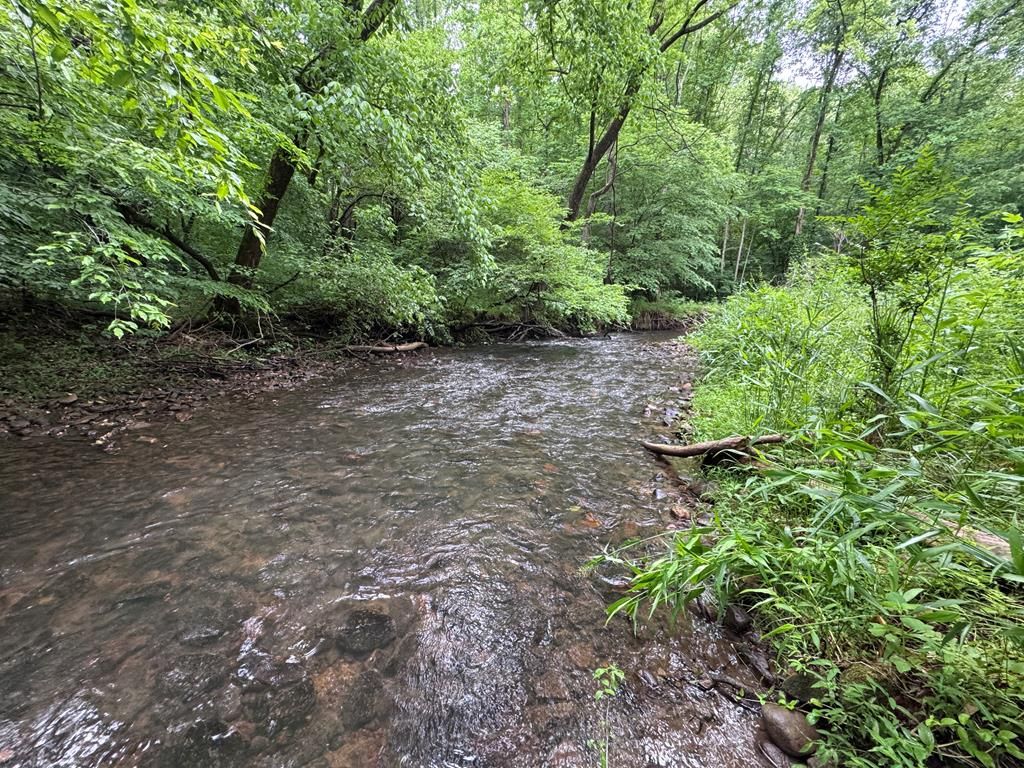 00 Green Acorn Lane, Murphy, NC 28906