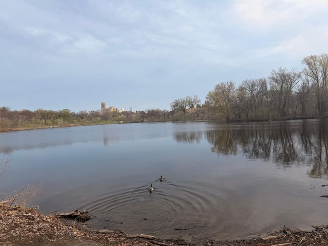 3640 13th Avenue S, Minneapolis, MN 55407