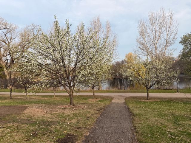 3640 13th Avenue S, Minneapolis, MN 55407