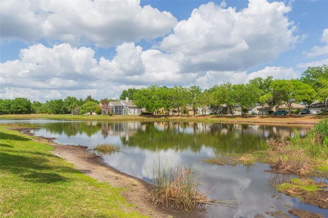 9313 ROCKROSE DRIVE, Tampa, FL 33647