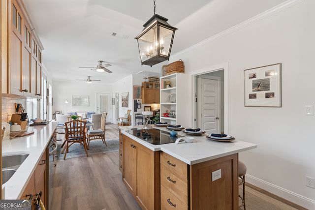 1076 Blue N Hall Road SE, Darien, GA 31305