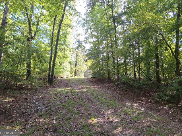 LOTS 48,49,50 Doe Lane, Mansfield, GA 30055