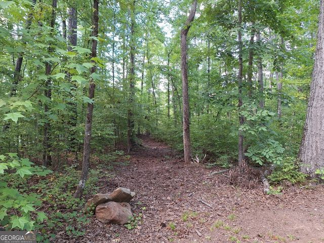 LOTS 48,49,50 Doe Lane, Mansfield, GA 30055