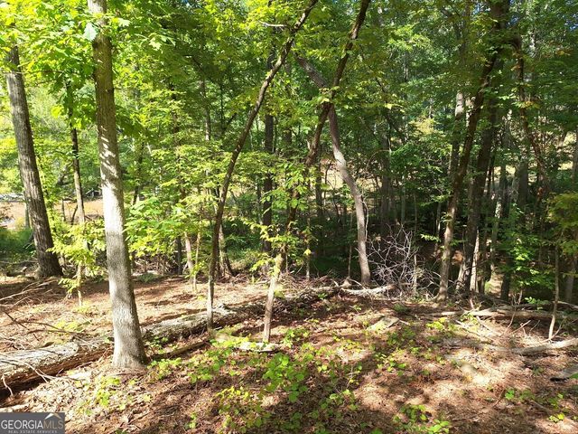 LOTS 48,49,50 Doe Lane, Mansfield, GA 30055