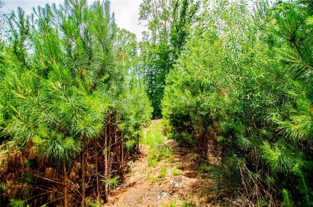 0 Lindsey Lake Road, Dallas, GA 30157