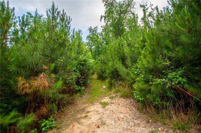 0 Lindsey Lake Road, Dallas, GA 30157