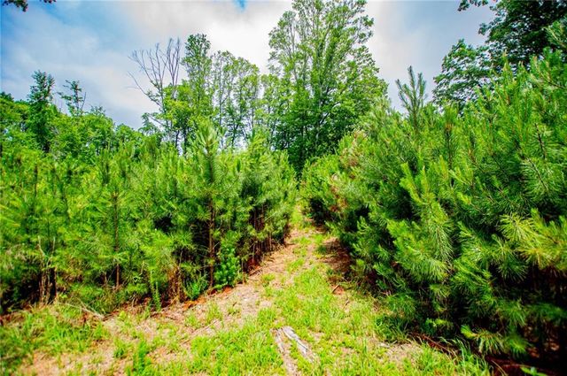 0 Lindsey Lake Road, Dallas, GA 30157