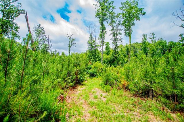 0 Lindsey Lake Road, Dallas, GA 30157