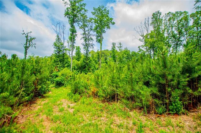 0 Lindsey Lake Road, Dallas, GA 30157