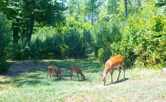 0 Lindsey Lake Road, Dallas, GA 30157