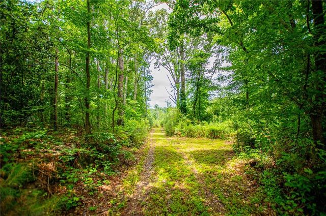 0 Lindsey Lake Road, Dallas, GA 30157